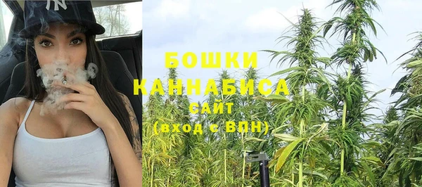 ПСИЛОЦИБИНОВЫЕ ГРИБЫ Балахна