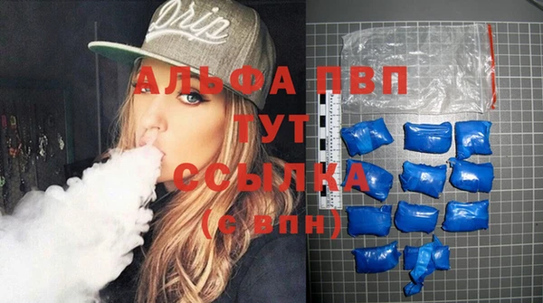 стаф Баксан