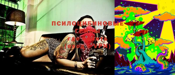 стаф Баксан