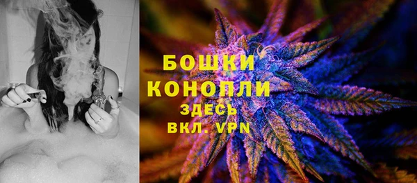 стаф Баксан