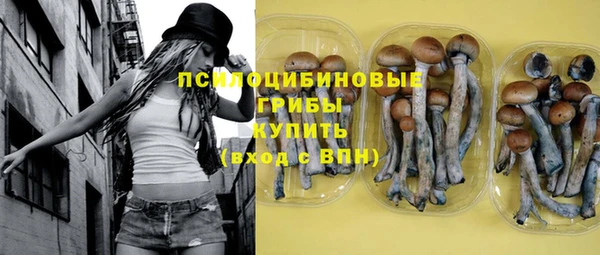 ГАЛЛЮЦИНОГЕННЫЕ ГРИБЫ Балабаново